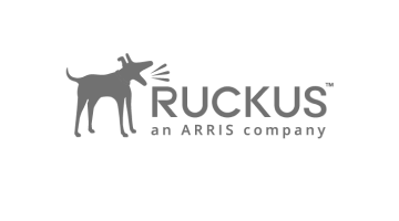 Ruckus Logo in Grey