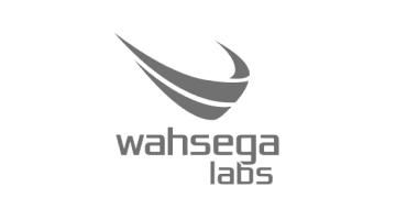 Wahsega Logo in Grey